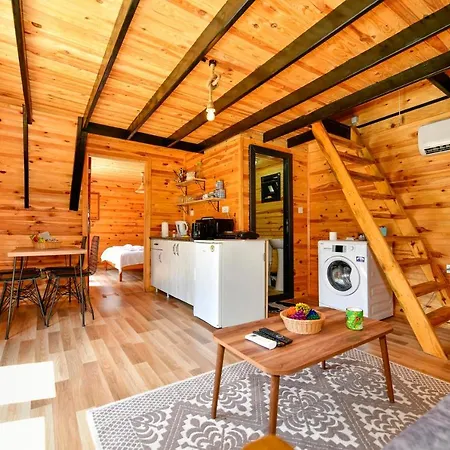 Astonishing Tiny House With Private Pool Close To Lycian Way In Oludeniz Holiday home Ovacik (Fethiye)